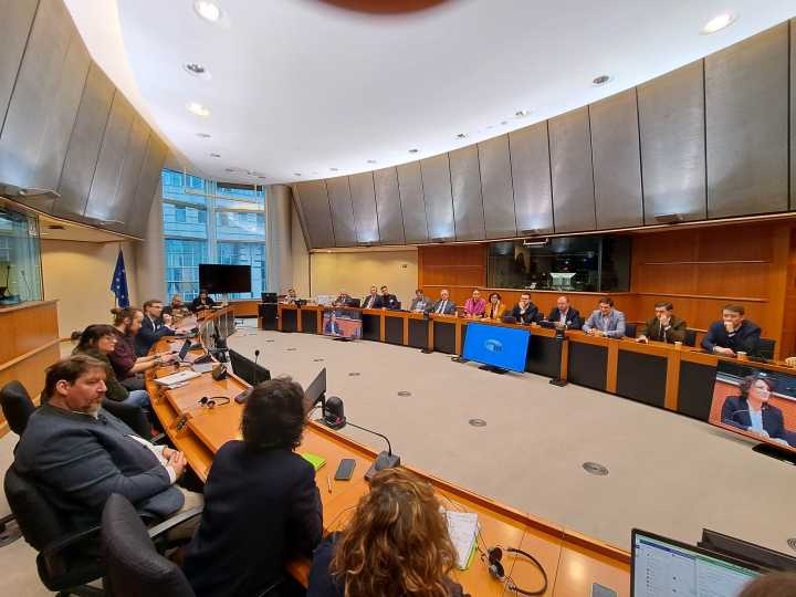 Demokratų delegacija susitikime su Europos žaliaisiais: norėdami išlikti stipria jėga, turime plėtoti santykius su užsienio partneriais 