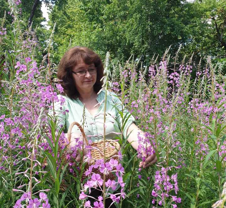 Rima Baškienė. Piliakalniai, poezija ir vaistažolės