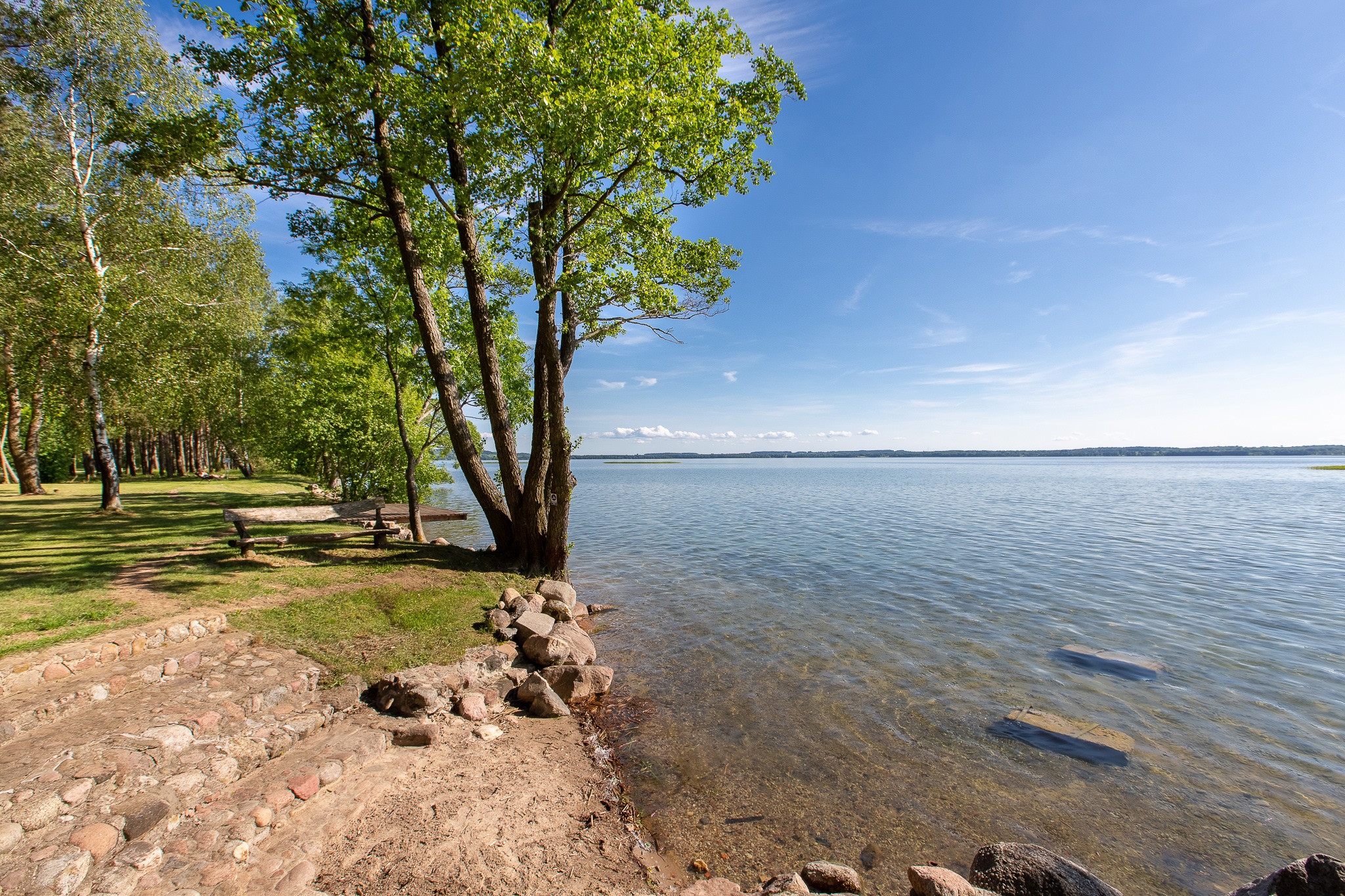 Demokratų sąjunga „Vardan Lietuvos“ organizuoja pirmąjį partijos sąskrydį