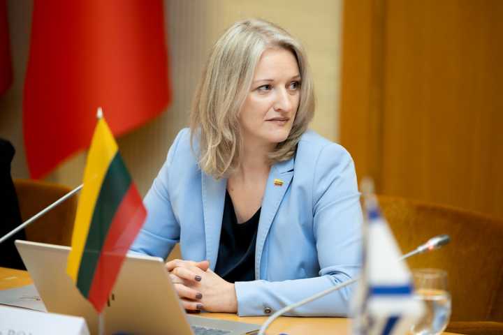 Jekaterina Rojaka: Lietuvoje pristatytas Kanadoje sukurtas vadovas, skirtas antisemitizmui atpažinti