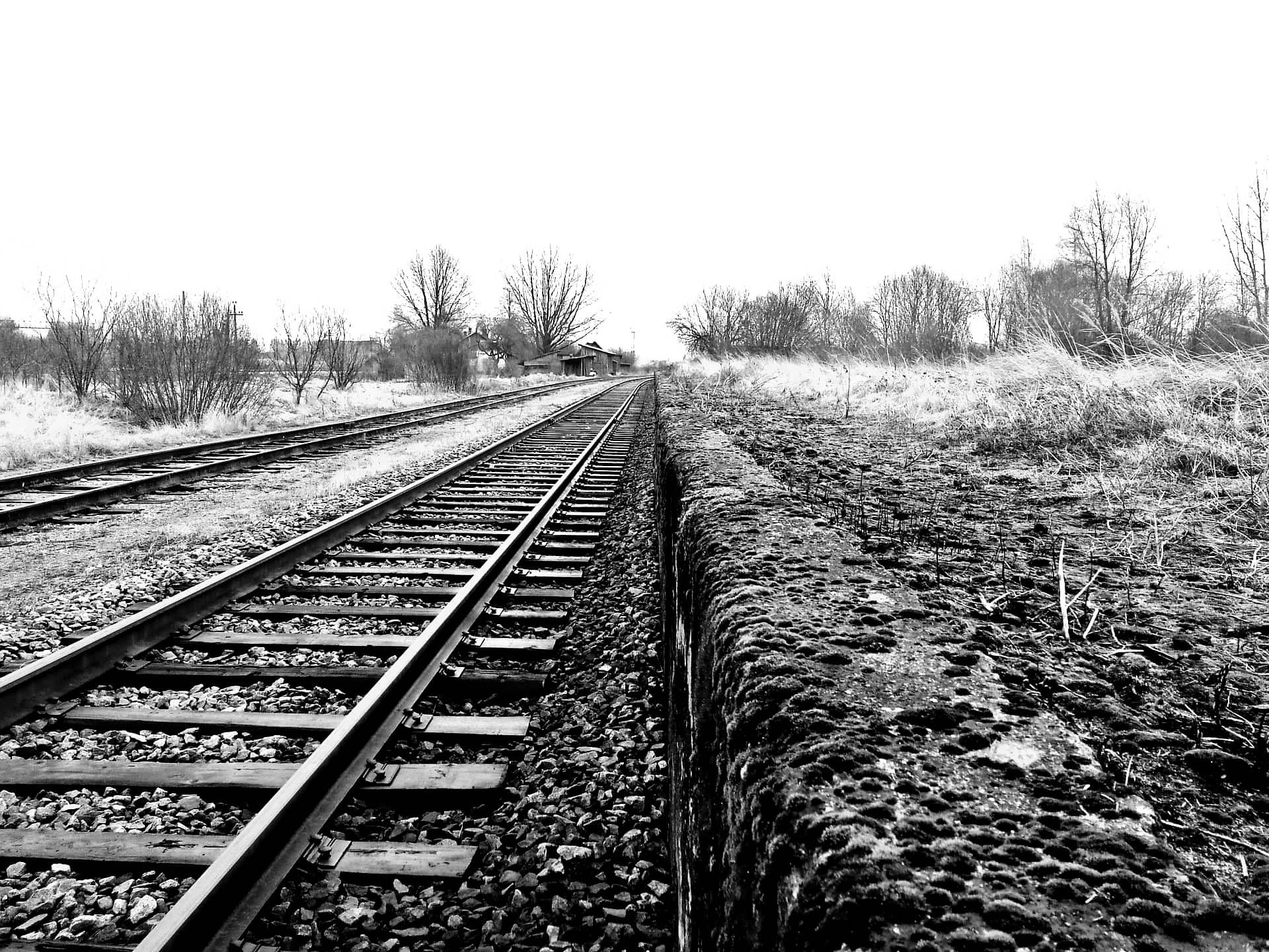 Gedulo ir vilties, Okupacijos ir genocido dienoms atminti